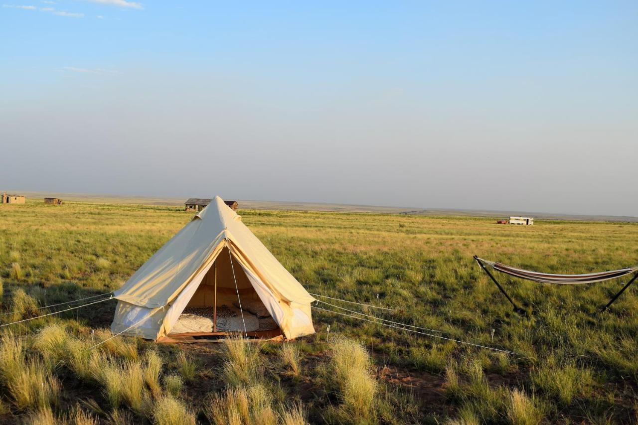 Starlight Tent 2 Holbrook Exterior foto