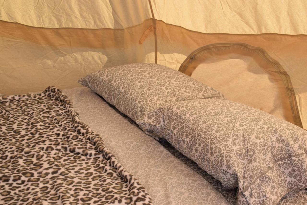 Starlight Tent 2 Holbrook Exterior foto